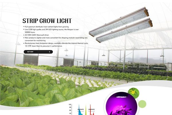 ��5����Ҫ�ɷֻ�Ӱ��LED�Ƶ�ʹ������