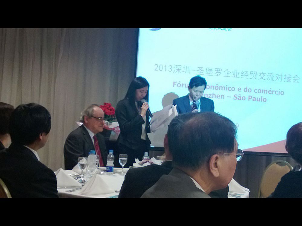 2013�����չ��